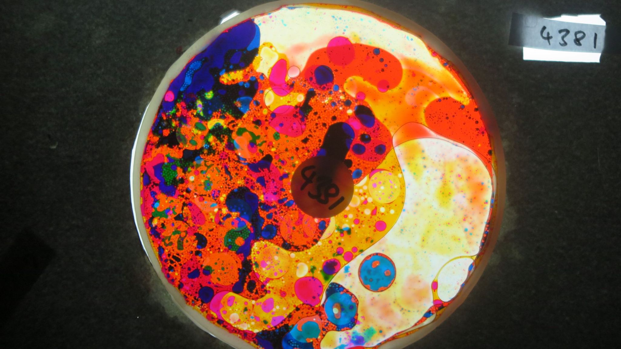 BV4381 bubble vision oil wheel